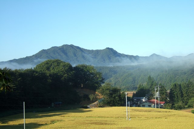 山田町の山々.jpg