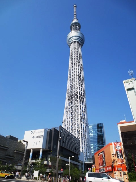 東京ｽｶｲﾂﾘｰ 02.JPG